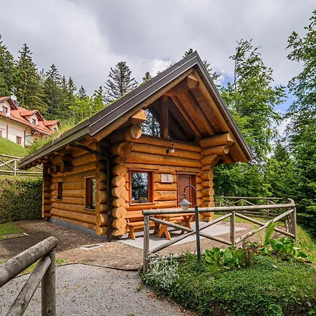 Happiness Apartment Hocko Pohorje